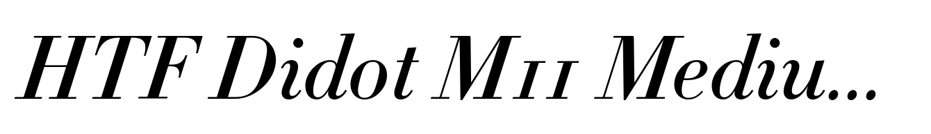 HTF Didot M11 Medium Italic